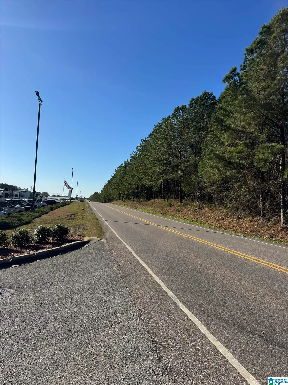 1229 GEORGE ROY PARKWAY, Calera, AL 35040 - #1