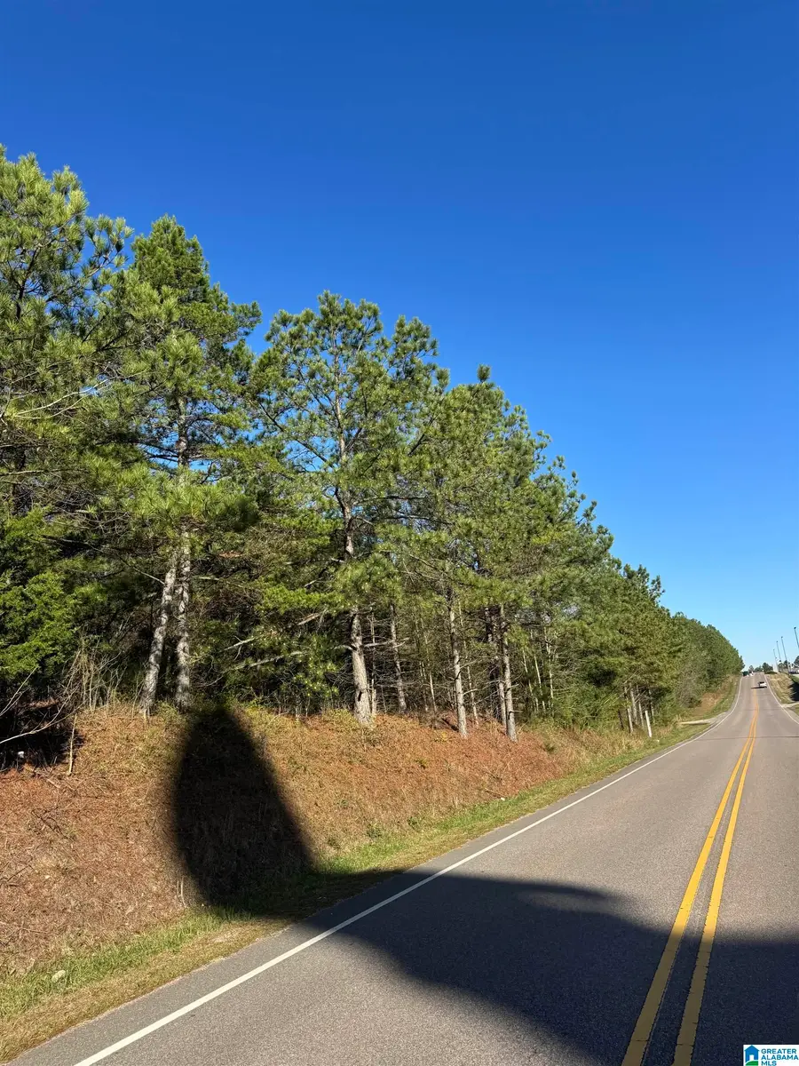 1229 GEORGE ROY PARKWAY, Calera, AL 35040 - #2