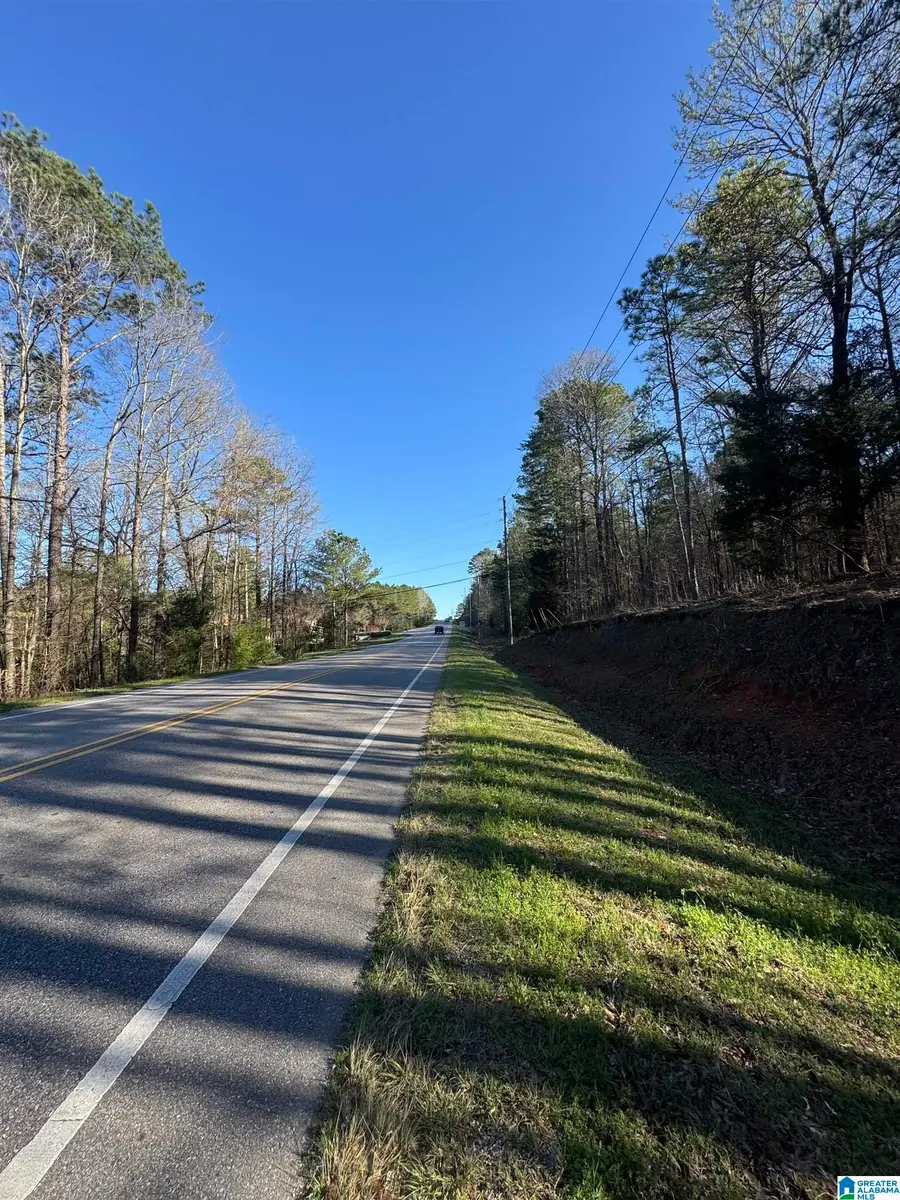 1229 GEORGE ROY PARKWAY, Calera, AL 35040 - #3