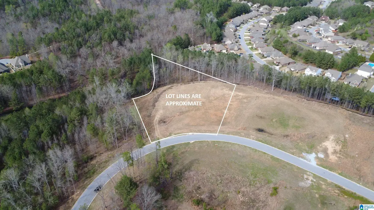 335 FOOTHILLS PLACE, Chelsea, AL 35043 - #1
