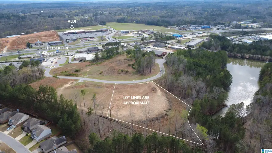 335 FOOTHILLS PLACE, Chelsea, AL 35043 - #2