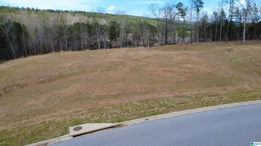 335 FOOTHILLS PLACE, Chelsea, AL 35043 - #3