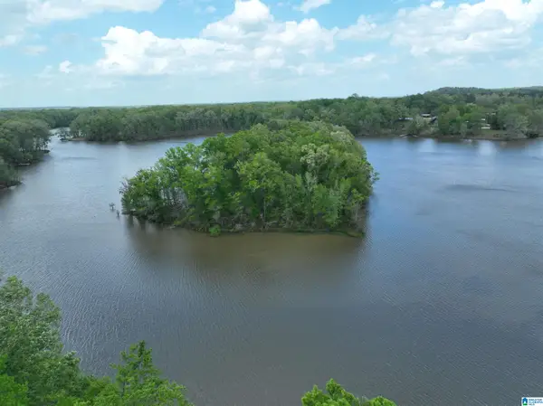 0 COUNTY ROAD 225, Minter, AL 36761