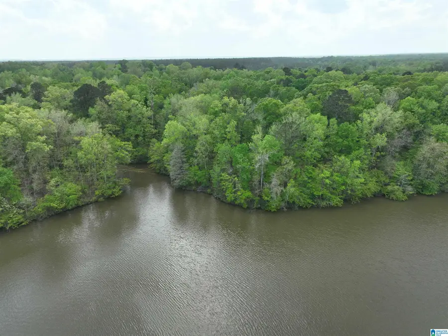 0 COUNTY ROAD 225, Minter, AL 36761 - #3