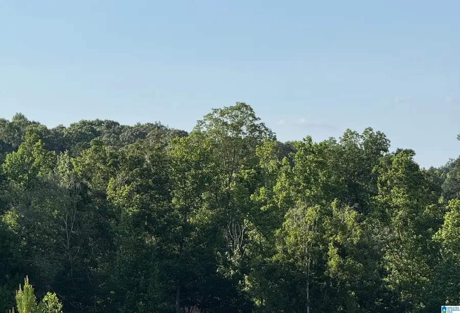0 COUNTY ROAD 49, Muscadine, AL 36269 - #2