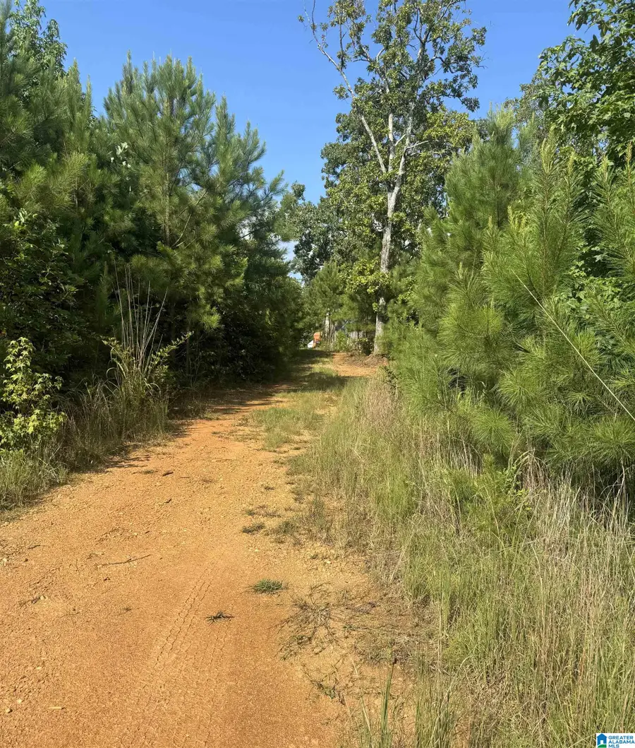 0 COUNTY ROAD 49, Muscadine, AL 36269 - #3