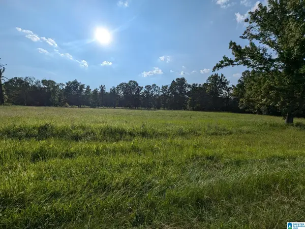 0 POPLAR SPRINGS ROAD, Ashville, AL 35173