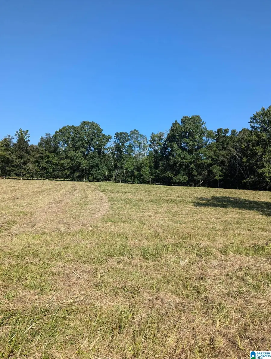 0 POPLAR SPRINGS ROAD, Ashville, AL 35173 - #3