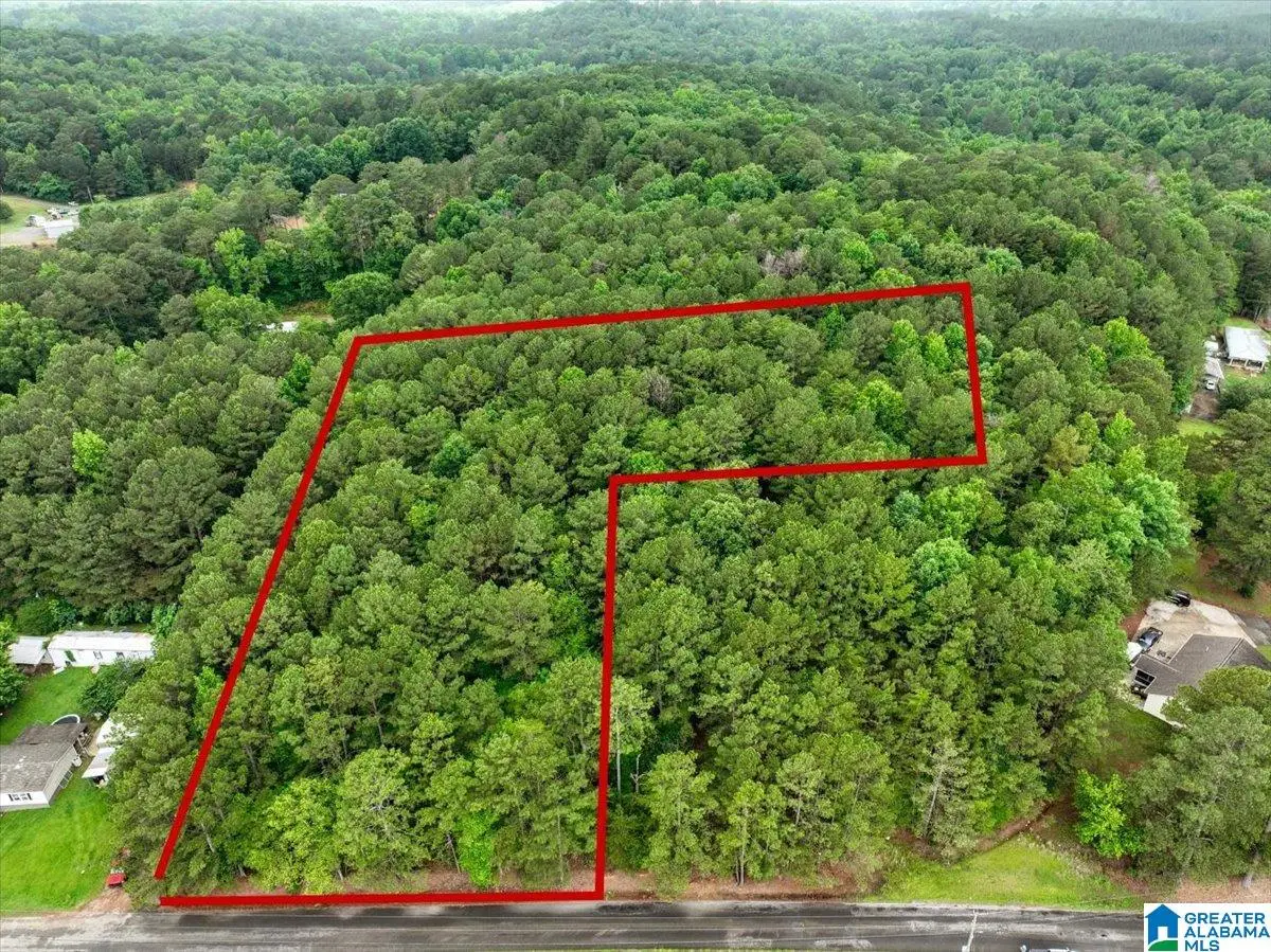 THORNTON LAKE ROAD, Dora, AL 35062 - #1