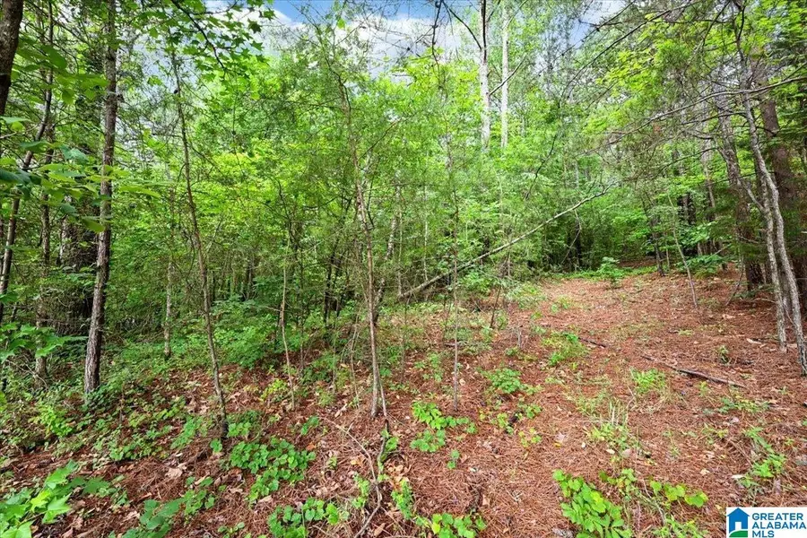 THORNTON LAKE ROAD, Dora, AL 35062 - #2
