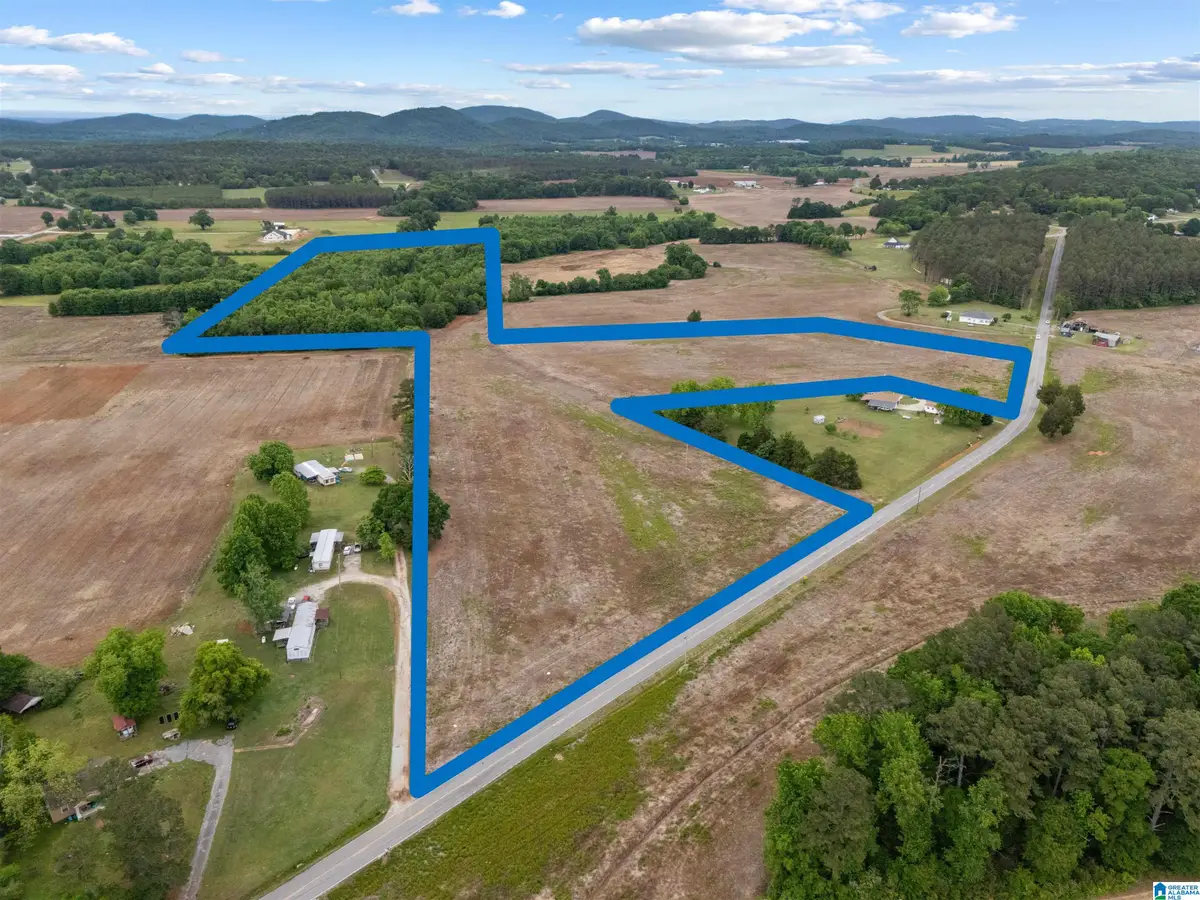 495 COUNTY ROAD 29, Piedmont, AL 36272 - #1