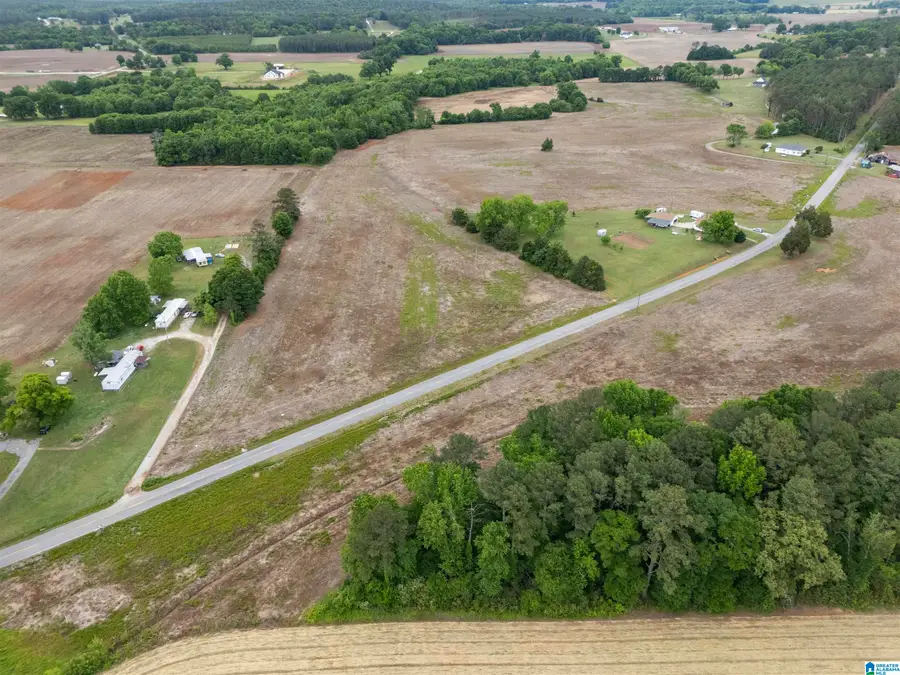 495 COUNTY ROAD 29, Piedmont, AL 36272 - #2