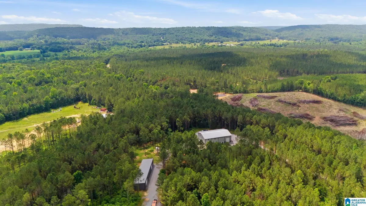 2575 SAINT CLAIR ROAD, Springville, AL 35146 - #1
