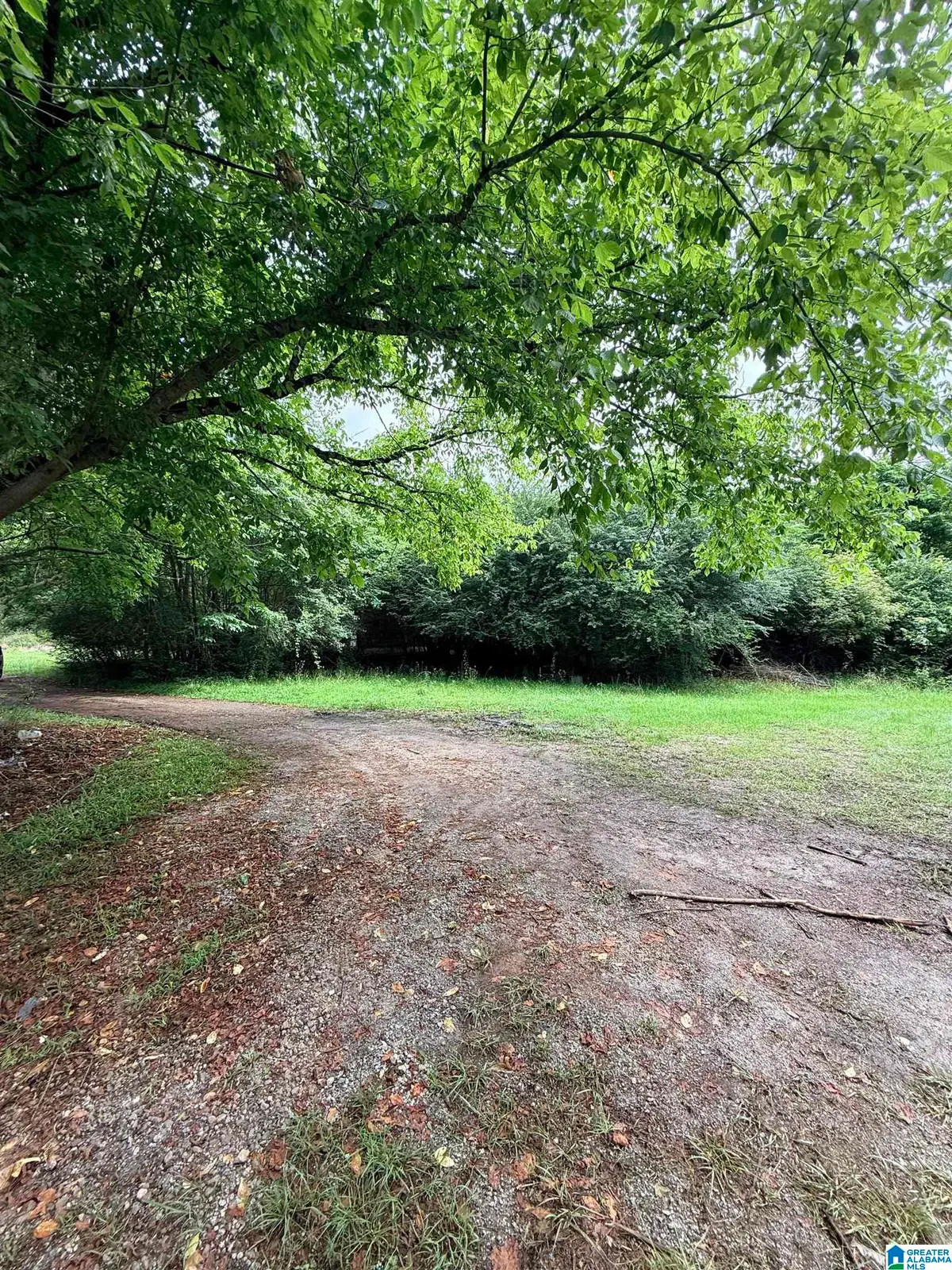 50864 HIGHWAY 22, Wadley, AL 36276 - #1
