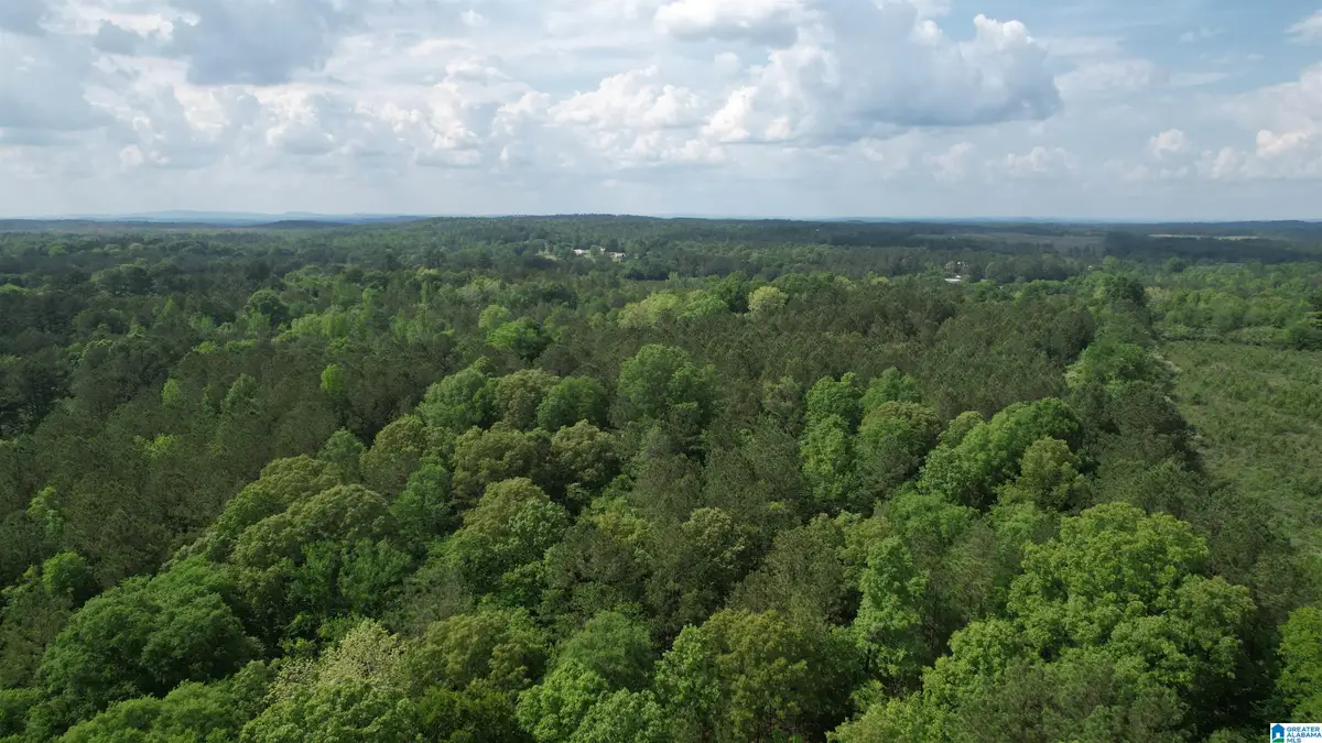 0 ARMSTRONG MTN LANE, Talladega, AL 35160 - #1
