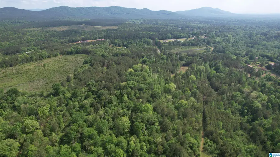 0 ARMSTRONG MTN LANE, Talladega, AL 35160 - #2
