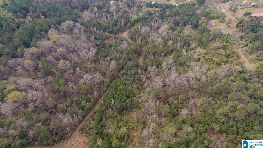 0 ARMSTRONG MTN LANE, Talladega, AL 35160 - #3