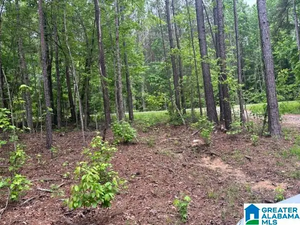 343 COUNTY ROAD 892, Wedowee, AL 36278