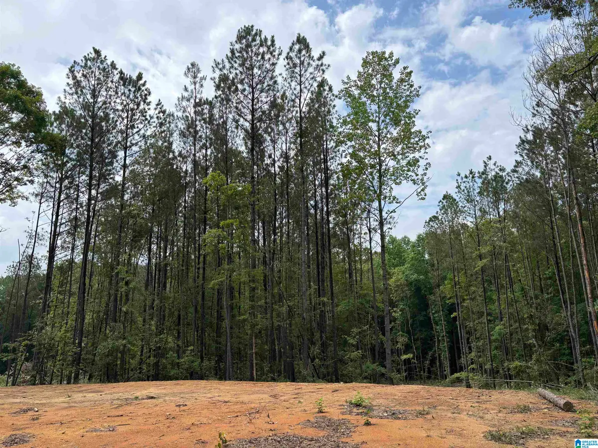 343 COUNTY ROAD 892, Wedowee, AL 36278 - #1