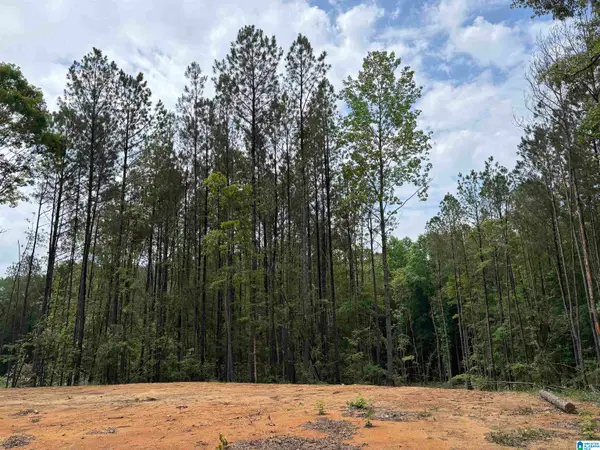 343 COUNTY ROAD 892, Wedowee, AL 36278
