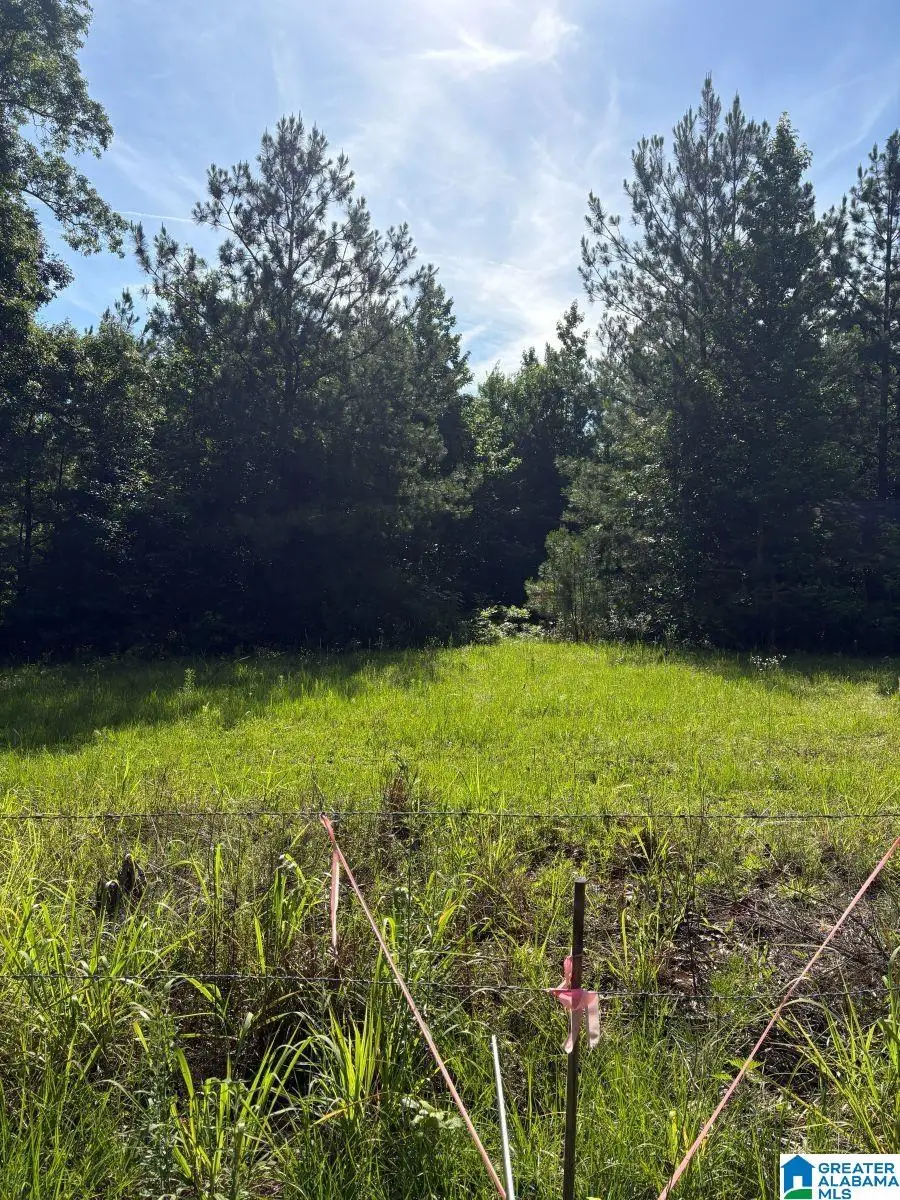 988 COUNTY ROAD 123, Jemison, AL 35085 - #1