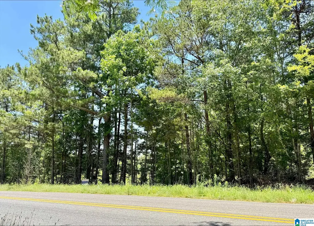 0 COUNTY ROAD 82, Wedowee, AL 36278 - #1