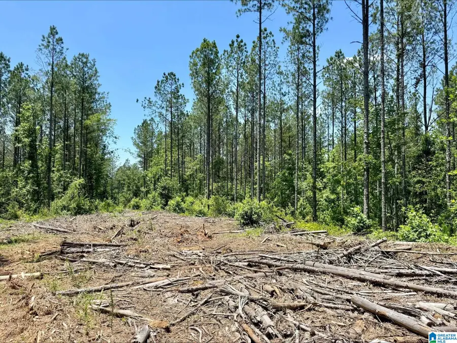 0 COUNTY ROAD 82, Wedowee, AL 36278 - #3