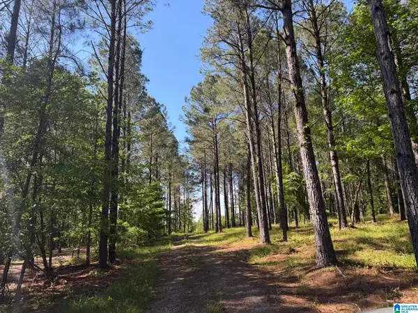89 GOLDEN POND ROAD, Ashville, AL 35953