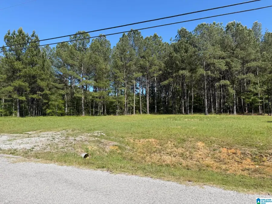 89 GOLDEN POND ROAD, Ashville, AL 35953 - #3