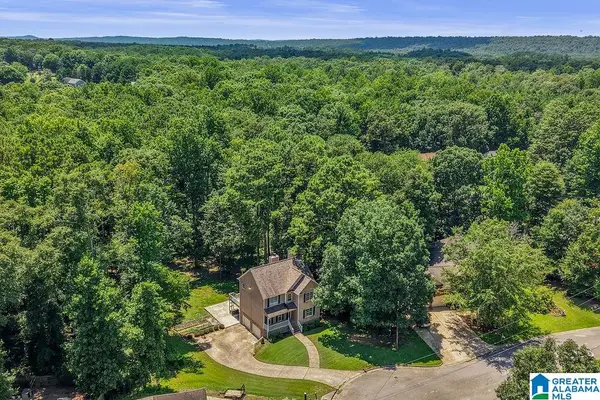 540 HUNTER HILLS WAY, Chelsea, AL 35043