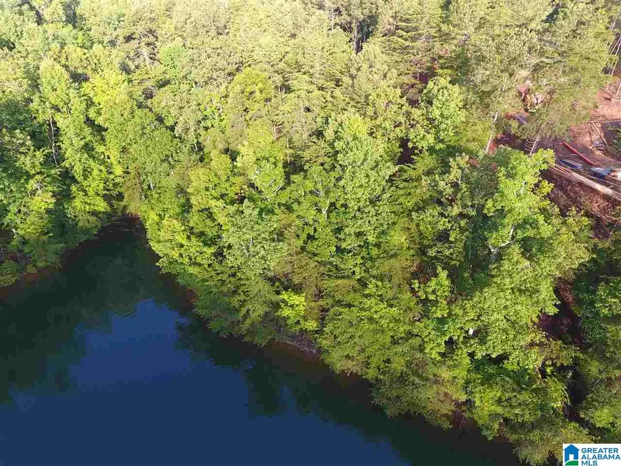 Lot 48 AQUA DRIVE, Wedowee, AL 36278 - #2