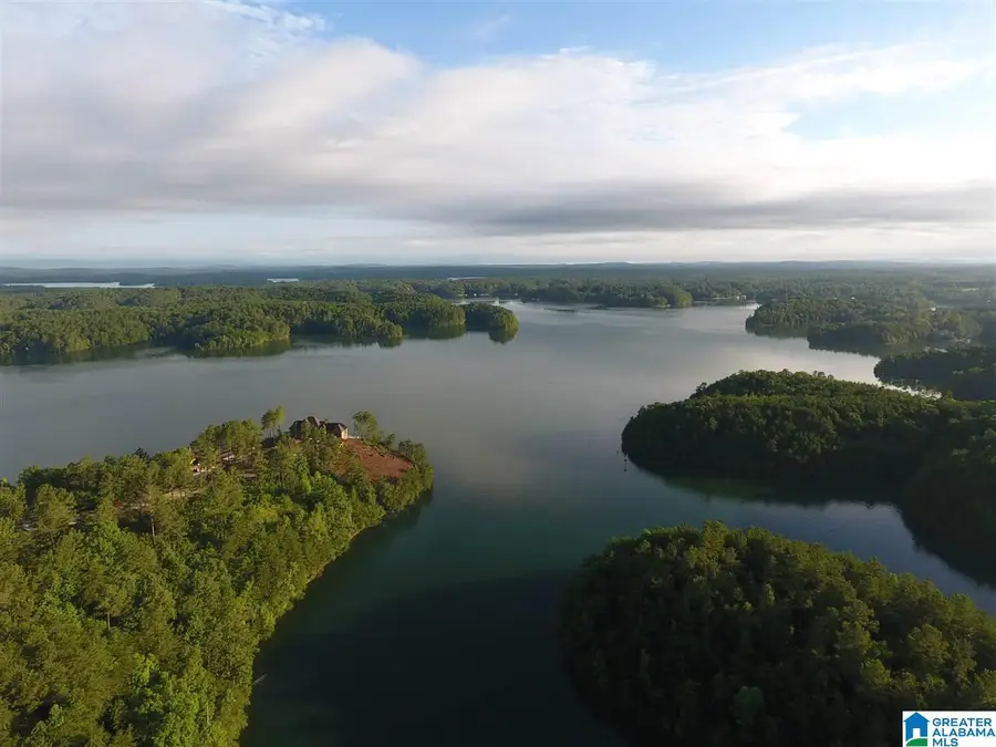 Lot 48 AQUA DRIVE, Wedowee, AL 36278 - #3