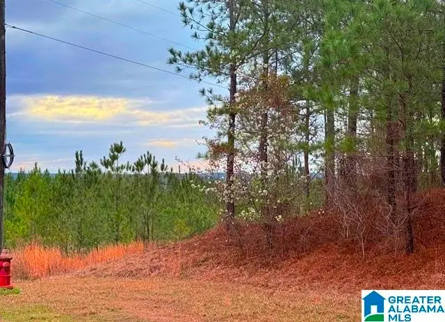 SHORE SIDE LANE, Sylacauga, AL 35151 - #1