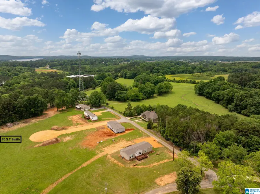 70 S T SMITH COURT, Cropwell, AL 35054 - #2
