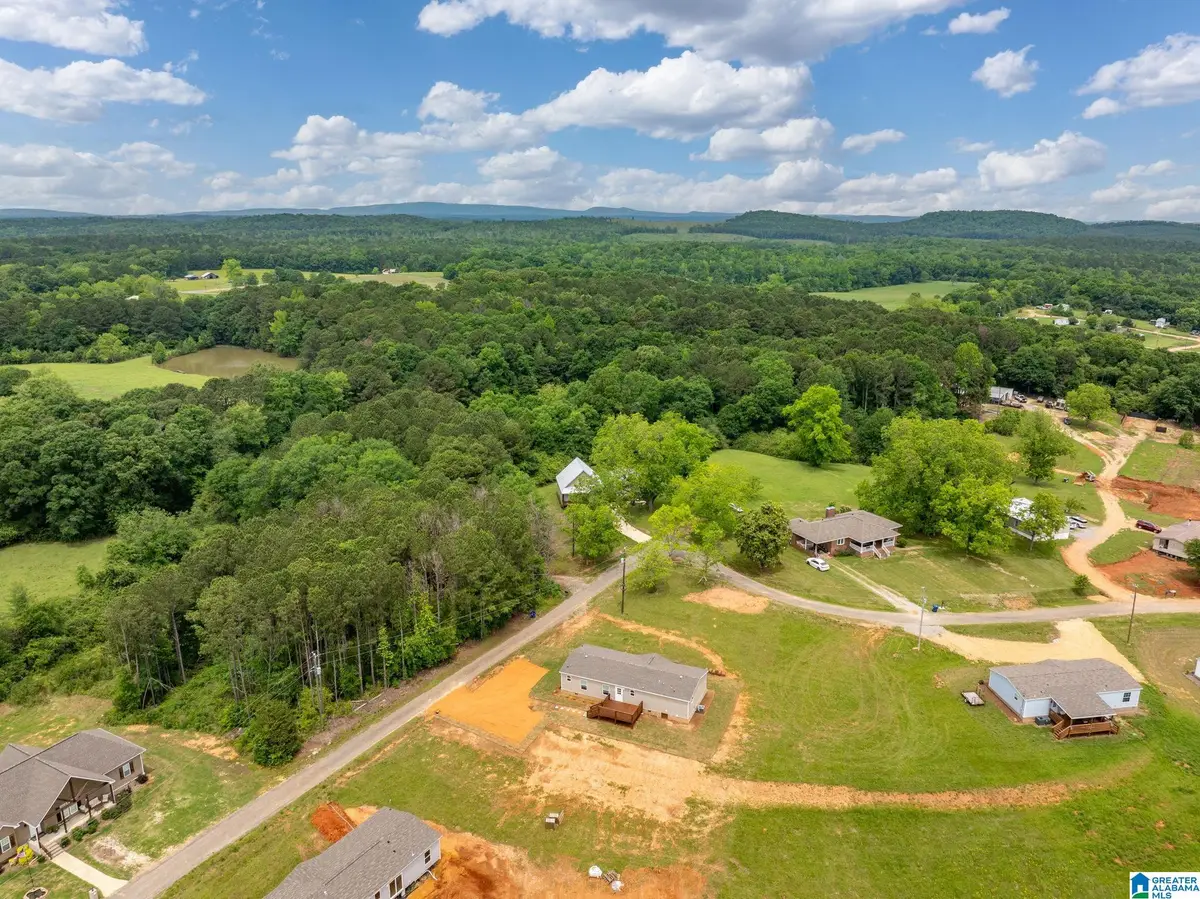 55 S T SMITH COURT, Cropwell, AL 35054 - #1