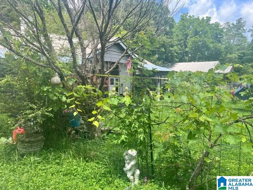 9790 ALABAMA HIGHWAY 174, Odenville, AL 35120 - #3