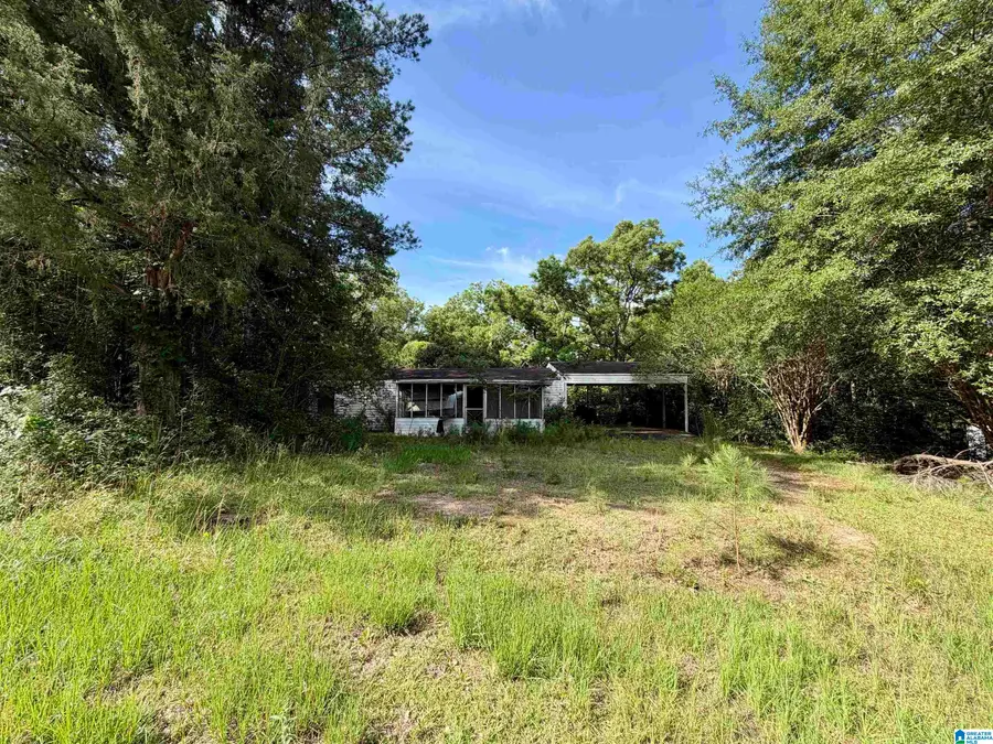 31191 COUNTY ROAD 107, Red Level, AL 36474 - #2