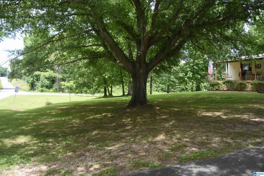 3222 COUNTY ROAD 46, Dawson, AL 35963 - #3