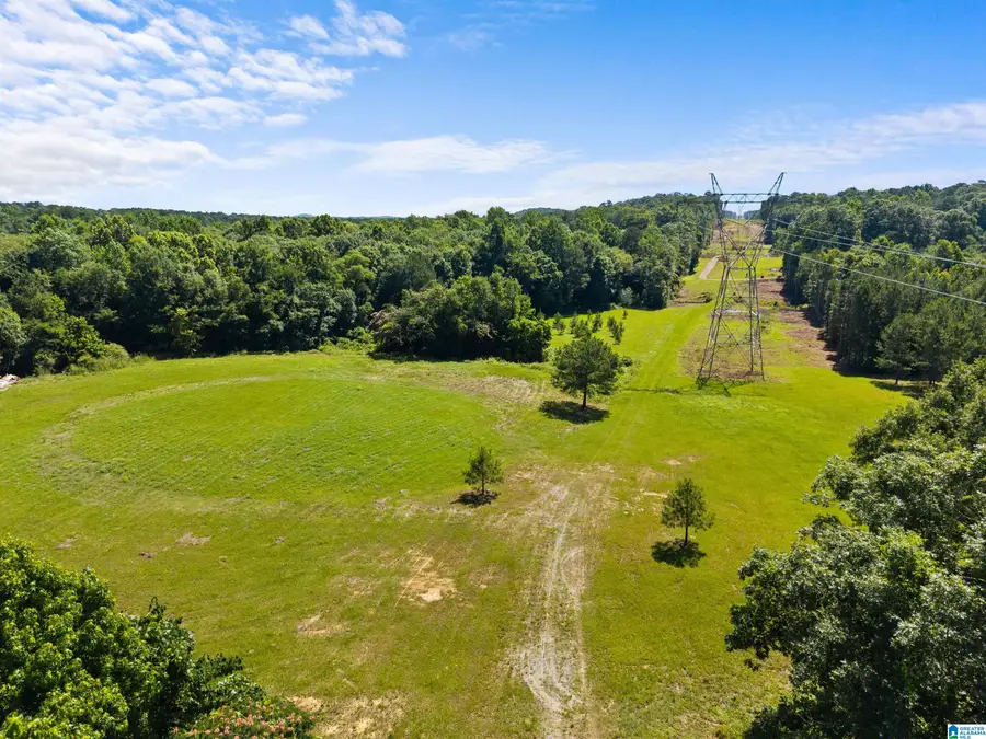 7240 POCAHONTAS ROAD, Bessemer, AL 35022 - #2