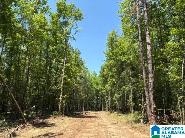 0 HIGHWAY 191, Maplesville, AL 36750 - #1