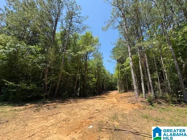 0 HIGHWAY 191, Maplesville, AL 36750 - #2