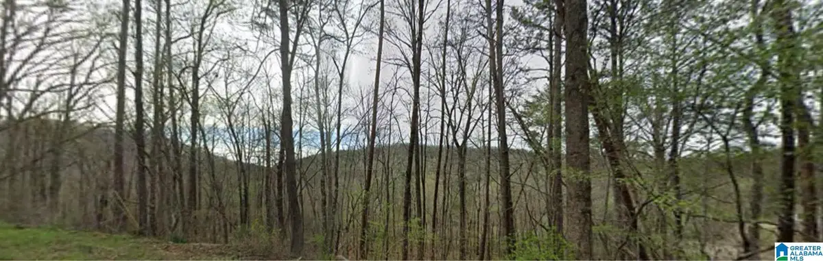 0000 RED VALLEY ROAD, Remlap, AL 35133 - #1