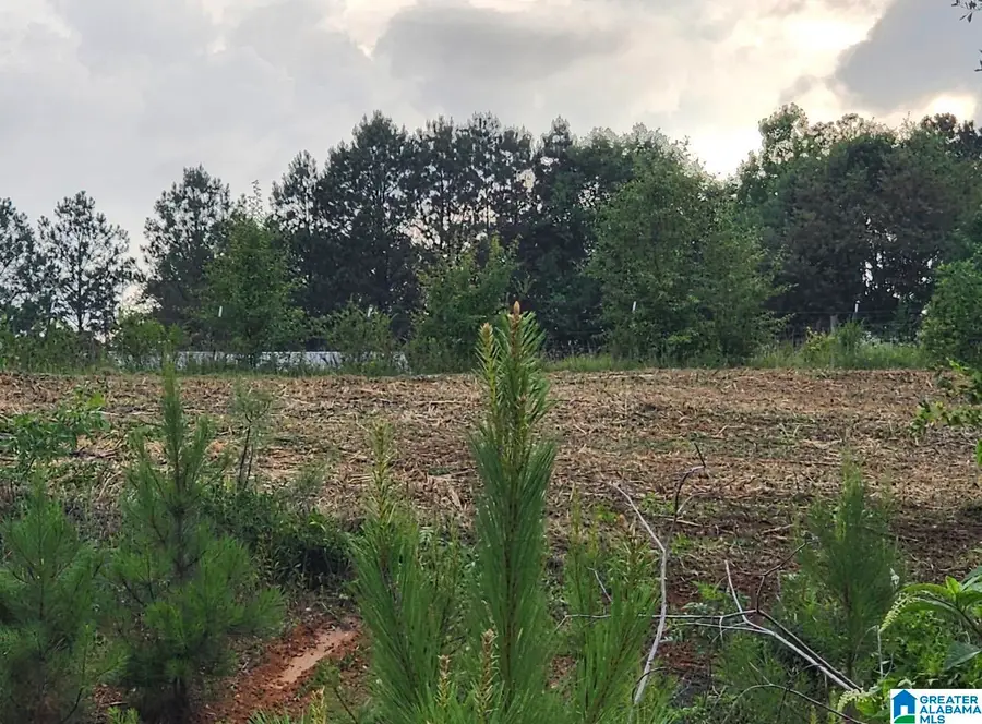 0 COUNTY HIGHWAY 13, Cleveland, AL 35049 - #3