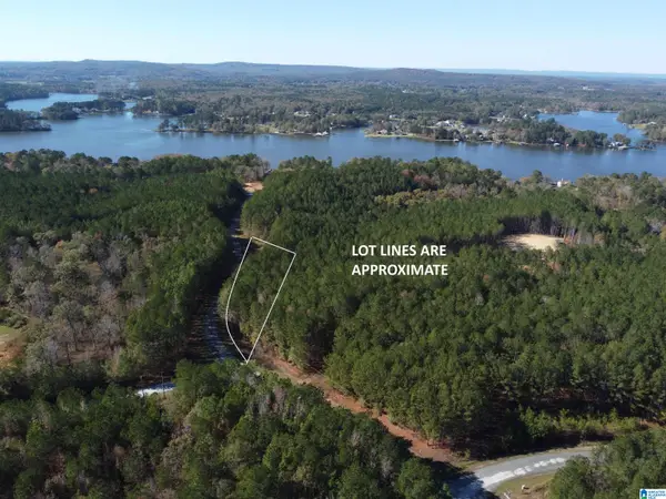 Lot 221 SHORE SIDE LANE, Sylacauga, AL 35151