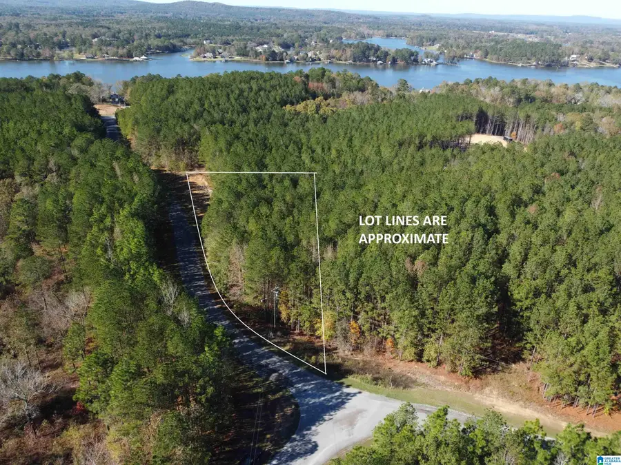 Lot 221 SHORE SIDE LANE, Sylacauga, AL 35151 - #2