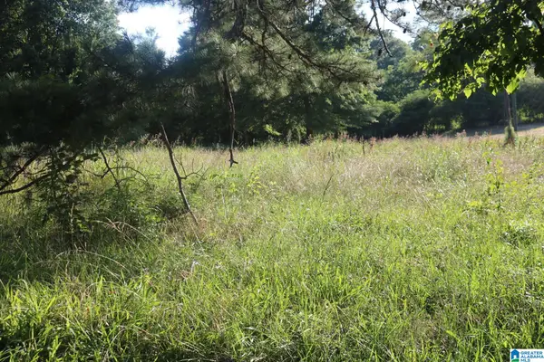 174 POPLAR SPRINGS DRIVE, Sylvan springs, AL 35118