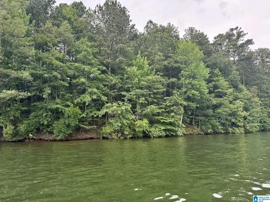 221 WALNUT STREET, Wedowee, AL 36278 - #3