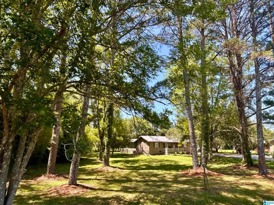 4871 OLD HIGHWAY 278 E, Hokes Bluff, AL 35903 - #2