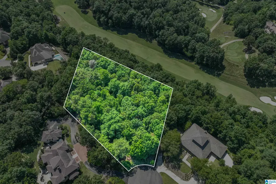 7305 KINGS MOUNTAIN CIRCLE, Vestavia Hills, AL 35242 - #2