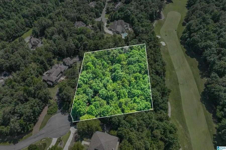 7305 KINGS MOUNTAIN CIRCLE, Vestavia Hills, AL 35242 - #3